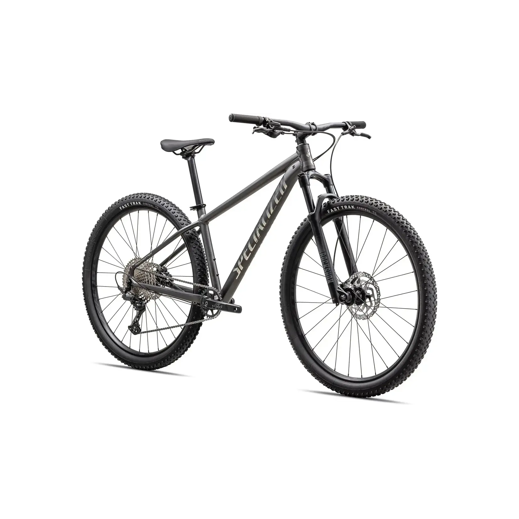 Specialized Roockhopper Expert Satin Smoke/Gloss Chrome