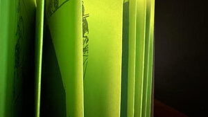 A Collective of KCAI Voices