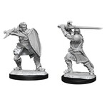 WizKids Dungeons and Dragons Nolzur's Marvelous Minis Human Paladin Male
