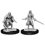 WizKids Dungeons and Dragons Nolzur's Marvelous Minis Half-Elf Rogue Female