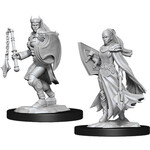 WizKids Dungeons and Dragons Nolzur's Marvelous Minis Kalashtar Cleric Female