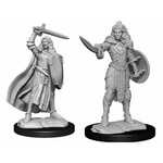 WizKids Pathfinder Deep Cuts Human Champion Female
