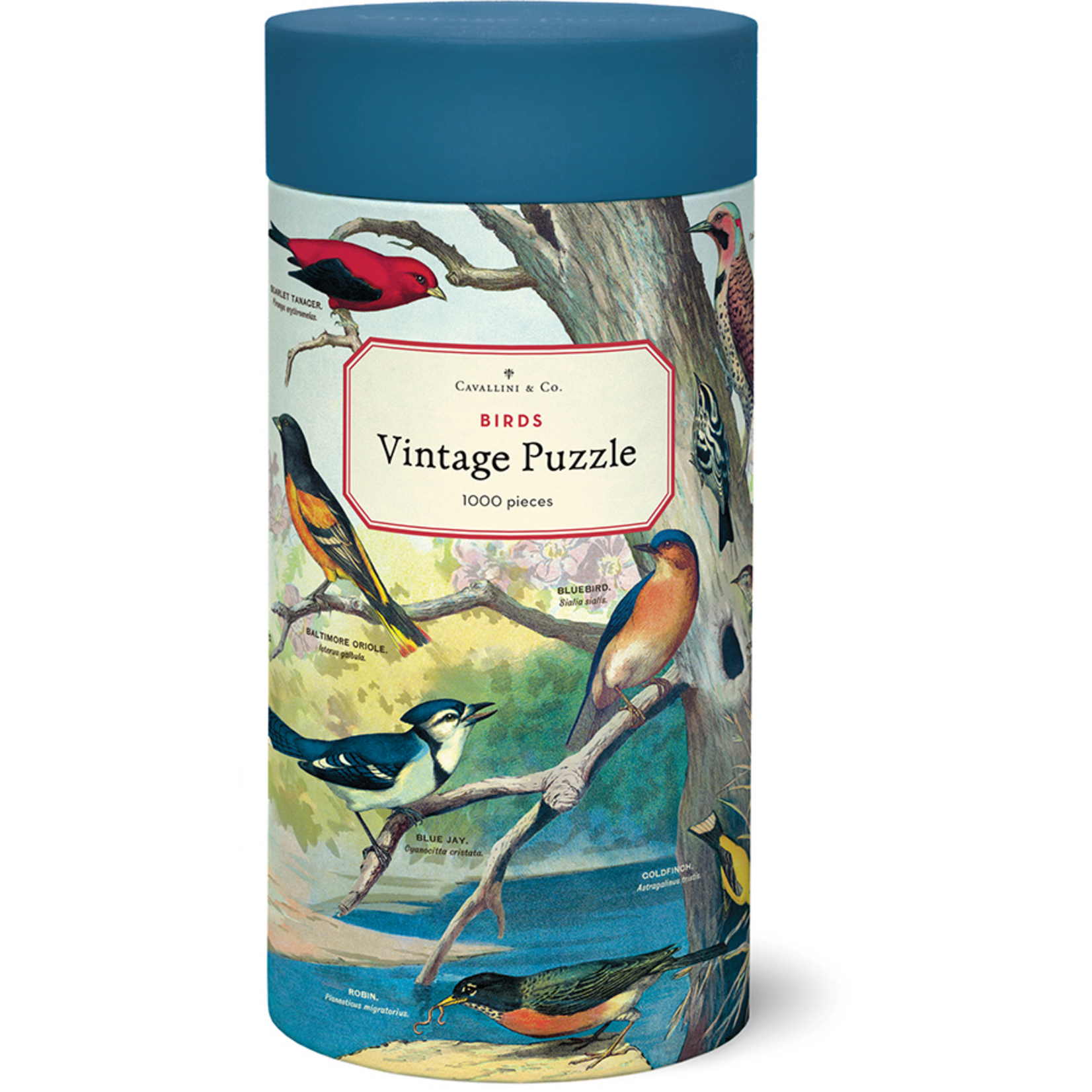Cavallini and Co 1000 pc Puzzle Birds