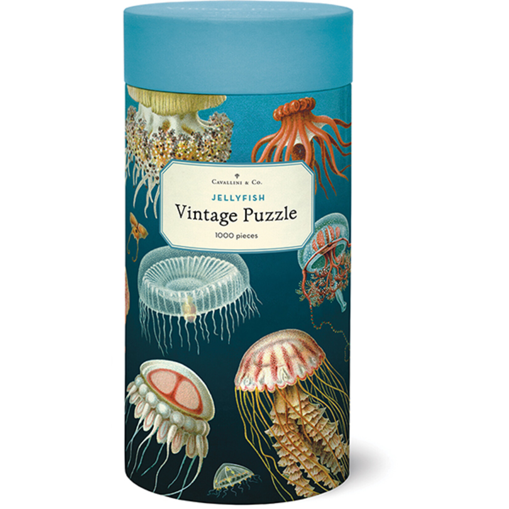 Cavallini and Co 1000 pc Puzzle Jelly Fish
