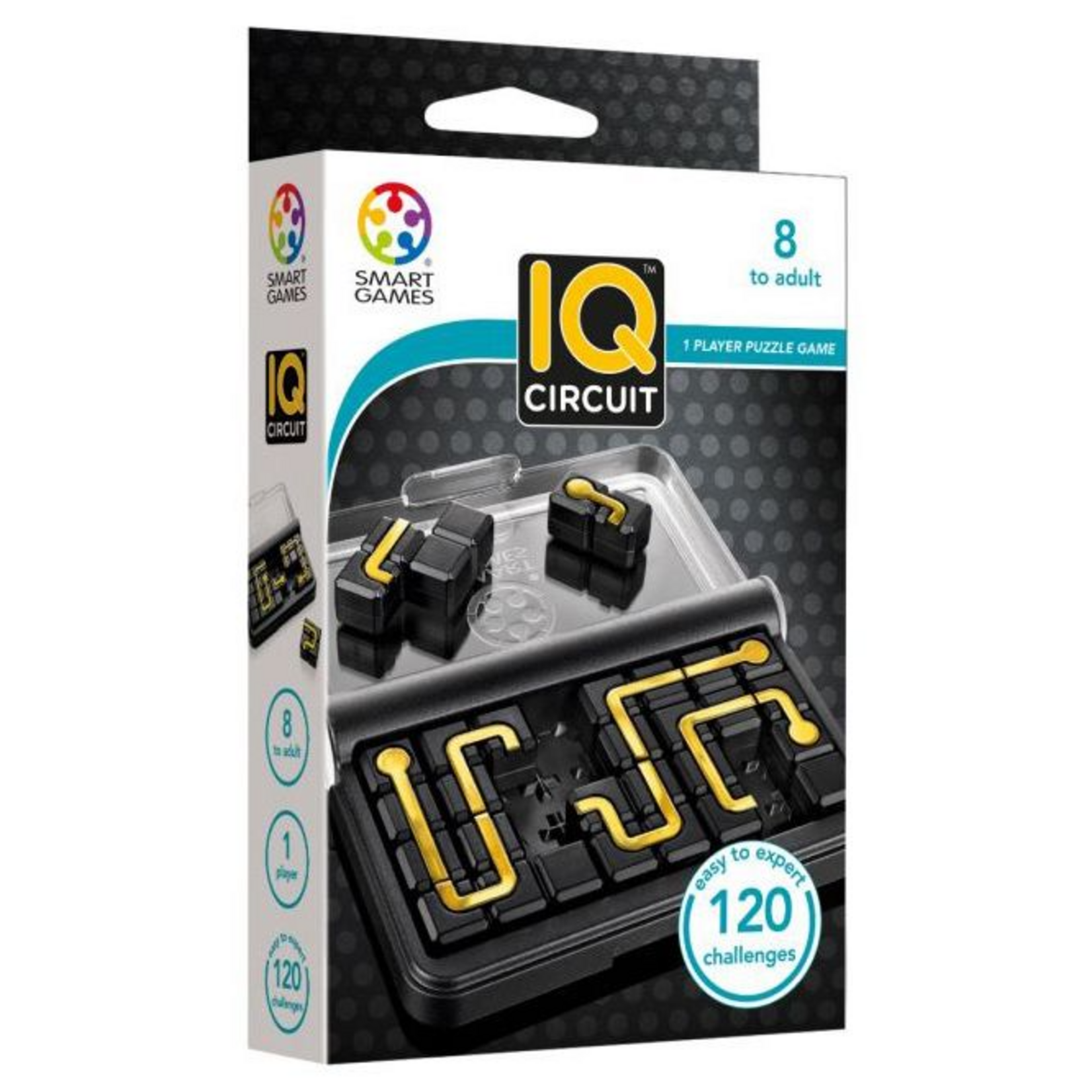 Smart Toys and Games IQ Circuit