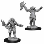 WizKids Dungeons and Dragons Nolzur's Marvelous Minis Female Dragonborn Fighter