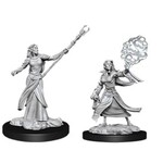 WizKids Dungeons and Dragons Nolzur's Marvelous Minis Female Elf Sorcerer