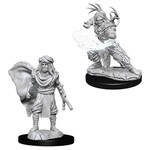 WizKids Dungeons and Dragons Nolzur's Marvelous Minis Male Human Druid