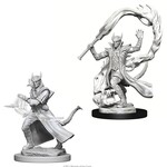 WizKids Dungeons and Dragons Nolzur's Marvelous Minis Tiefling Male Sorcerer