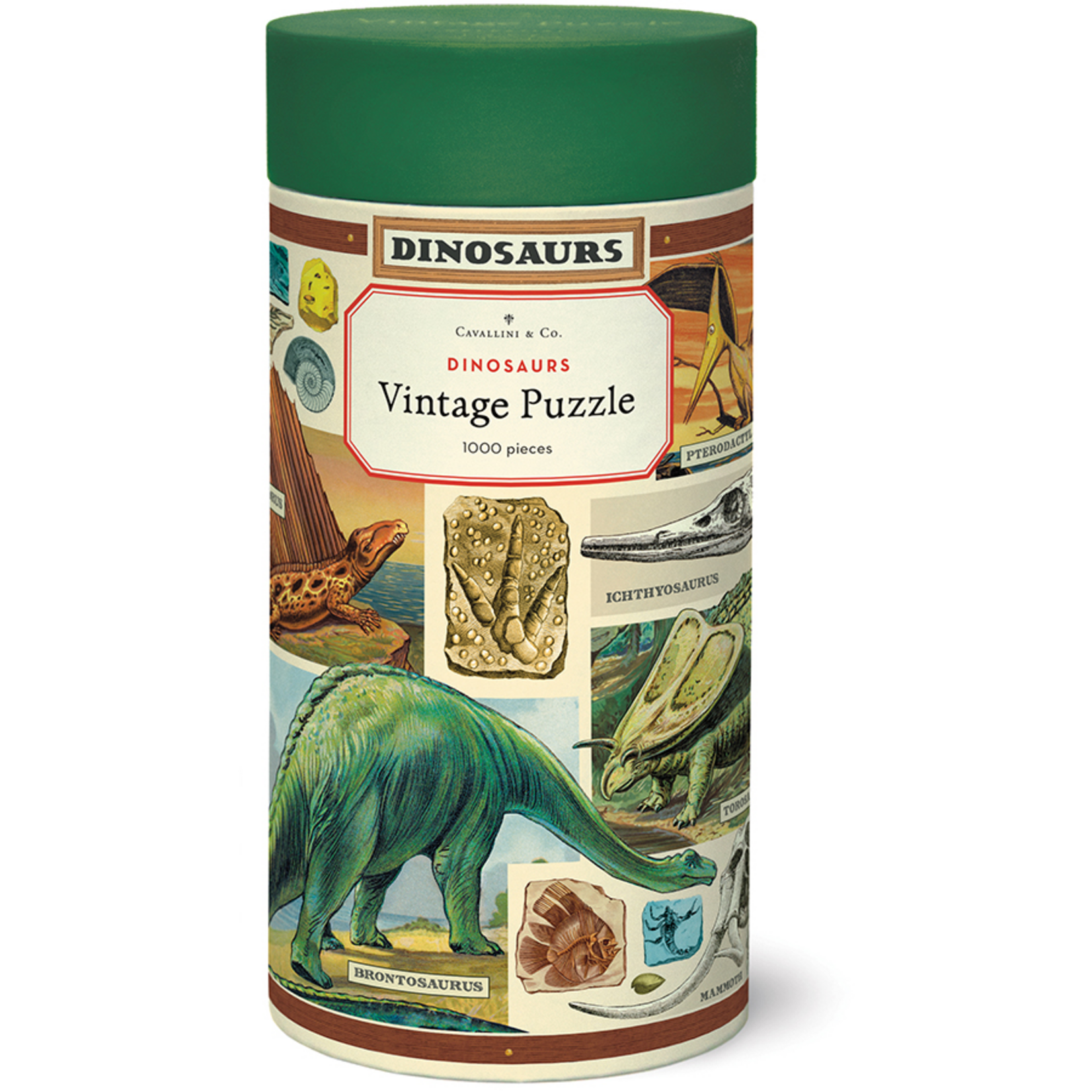 Cavallini and Co 1000 pc Puzzle Vintage Dinosaurs