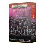Games Workshop Warhammer Age of Sigmar Chaos Disciples of Tzeentch Spearhead Tzaangor Warflock