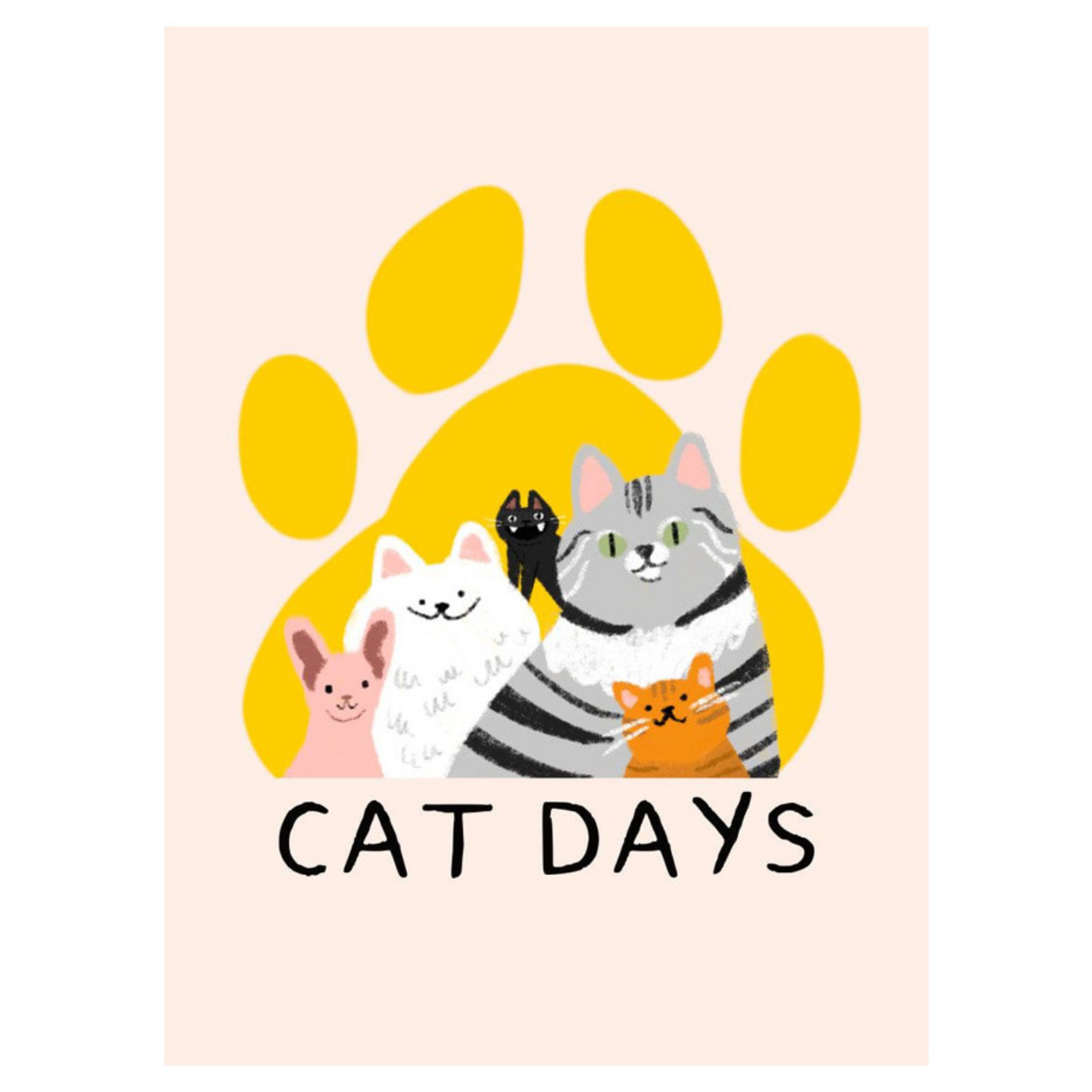 25th Century Games Cat Days