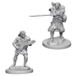 WizKids Dungeons and Dragons Nolzur's Marvelous Minis Human Male Bard