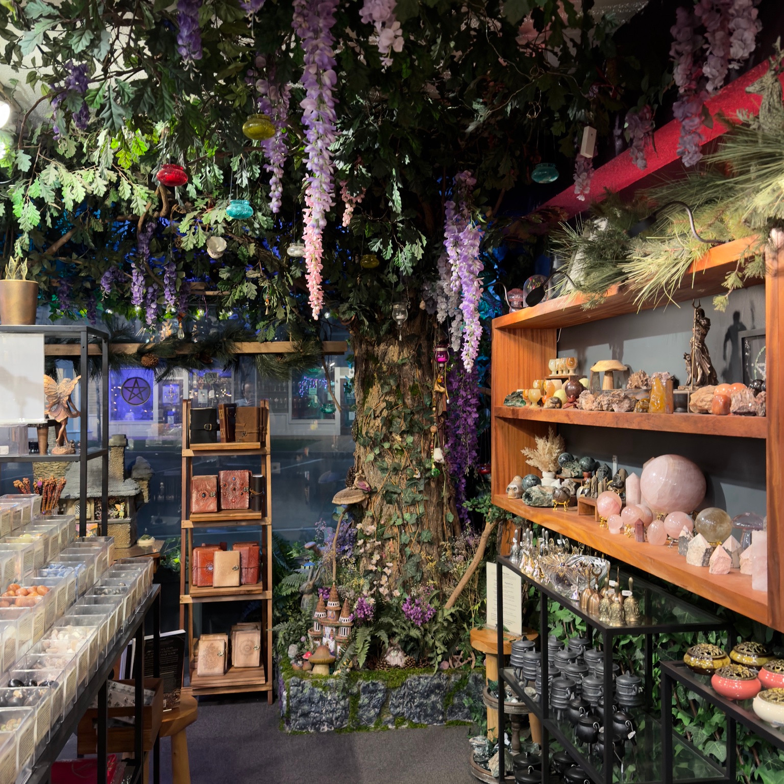 The wisteria-covered tree and shelves inside Enchanted.