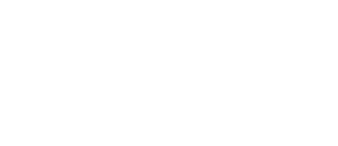 DeVito Boot Co logo