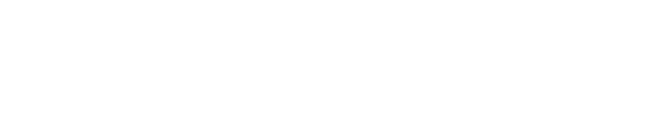 Vince DeVito Shoes logo